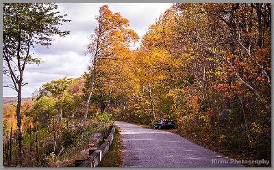 Kirms Photography Sunrisr Mtn-Stokes St Forest-7